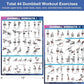 Dumbbell Workout Poster Set (2 Pack) - Workout Charts for Home Gym, Volume I & II - 18" x 24" with Enlarged Dumbbell Exercise Illustrations