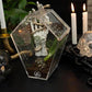 Coffin Shaped Jumping Spider Enclosure 9.5”x7.5”x5” Tarantula Enclosure Reptile Terrarium w/Sliding Magnetic Door. Great Reptile Tank Acrylic Aquarium Spider Box for Terrestrial or Arboreal Animal.