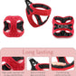 Comfort fit Step-in Dog & Puppy Harness - Comfortable All Weather Dog Vest Harness: Adjustable, Soft Padded, Easy to Put-on for Small, Medium-Sized Dogs.
