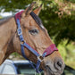 LeMieux Vogue Fleece Headcollar - Halter & Leadrope - Extra Padding, Adjustable at Curb and Poll Strap