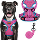MIDOG No-Pull Dog Harness | Adjustable & Reflective Pet Harness Leash Set for Small Medium Large Dogs Walking, Training| No Choke, Front Clip, Soft Padded Vest with Easy Control Handle - Pink, L