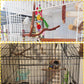 PINVNBY 2Pcs Wood Perches for Bird Cage,Natural Parrot Stand Branch Parakeet Paw Grinding Sticks Standing Grape Pole for Lovebirds Budgies Cockatiels Finches