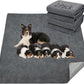 LOOBANI Washable Pee Pad for Dogs, 2 Packs Non-Slip Puppy Training Pads, Fast Absorbent Pet Whelping Pads, Puppy Playpen Mat for Incontinence, Housebreak, Crate, 48x60in, Gray