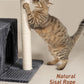 Cat Tree for Large Cat, 22.8” Cat Tower with Scratching Post, 20.9 * 15.7in Perch Bed for Adult Cats, Cat Condo with 2 Caves for Indoor Cats, Dark Gray