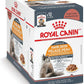 Royal Canin Hair & Skin Care Chunks in Gravy Wet Cat Food Pouch, 3 oz pouch (12-count)