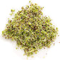 Handy Pantry Organic Birdseed - 1 Lb - Sprouting Bird Seed Mix for Small, Medium & Large Birds- Feed for Songbirds, Parakeets, Parrots, etc