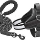 Haapaw Essential Dog Harness, No Pull Pet Vest with 3 Leash Clips, No Choke, Reflective, Adjustable and Padded, for Easy Walking and Training for Small Dogs(S, Black)