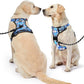 NESTROAD No Pull Dog Harness with Leash, Reflective No Choke Pet Vest Harness,Adjustable Soft Padded Dog Harness with Easy Control Handle for Small Dogs(Checkered Blue,Small)