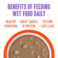 Weruva B.F.F. OMG - Best Feline Friend Oh My Gravy!, Chicken & Salmon Stir It Up with Chicken & Salmon in Gravy, 5.5oz Can (Pack of 8)