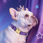 Didog Soft Padded Dog Collar for Large Dogs, Colorful and Durable Pet Collar with Quick Release Buckle, Light and Breathable for Daily Walking, Purple, L