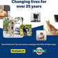 PetSafe Automatic Dog Feeder, 5 Meals, 40 oz Capacity, Plastic, for Dry Food, Multiple Pets