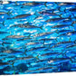 wall26 Canvas Print Wall Art Close Up Sardine School of Fish Underwater Nature Animals Photography Realism Rustic Scenic Landscape Wilderness Earth for Living Room, Bedroom, Office - 16"x24"