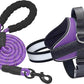 Haapaw Essential Dog Harness, No Pull Pet Vest with 3 Leash Clips, No Choke, Reflective, Adjustable and Padded, for Easy Walking and Training for Medium Dogs(M, Purple)