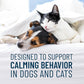 Nutramax Solliquin Calming Behavioral Health Supplement for Small to Medium Dogs and Cats - With L-Theanine, Magnolia / Phellodendron, and Whey Protein Concentrate, 75 Soft Chews