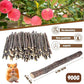 900g/2lb Small Apple Sticks Animals Molar Wood Treats Toys for Rabbits Chinchillas Guinea Pig Hamster Gerbil Parrot Bunny and Small Animals Chew Stick Toys Treats