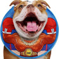Crazy Felix Soft Donut Cone for Dogs to Stop Licking,French Bulldog Recovery Collar After Surgery Inflatable Cone Alternative for Small Medium Large Dogs, Elizabethan Collar with Boxer Pattern