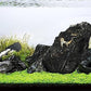 LANDEN Dark SEIRYU Stones Natural Rocks(17lbs, 3~11 inches,7-8pcs) for Aquarium, Paludarium, Terrariums, Landscaping Rocks, Decorative Aquarium Rocks