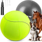 Herding Ball for Dogs & Horses - 25" with Cover Large Green Ball with Pump