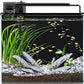 3 Gallon Fish Tank Aquarium Kit with Filter, LED Light with Timer, Siphon Vacuum Cleaner, Lid, Self-Cleaning Glass Rimless Betta Tank