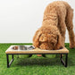 Mango Wood Dog Bowl Stand - Elevated Pet Feeder with 2 Stainless Steel Bowls - Raised Food and Water Dish Set for Dogs and Cats, Available in 4 Sizes, Pet Dining Station, Small/10oz