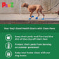 PawZ Rubber Dog Boots for Paws up to 1", 24 Total (2 Packs of 12) - All-Weather Dog Booties for Hot Pavement, Snow, Mud, and Rain - Waterproof, Anti Slip Dog Socks - Tiny, Green