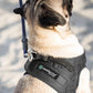 Comfort Fit No Pull Dog Harness for Medium Small Large Dogs Step-in Dog Vest Harness with Adjustable Buckle All Weather Comfortable Soft Padded Easy Control Handle Ideal for Walking Running Training