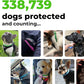 FurLife Flea and Tick Collar for Dogs – Waterproof Red Dog Collar, Pet Supplies for Tick and Flea Prevention for Dogs, Safe for All Breeds