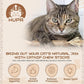 Catnip Silvervine Sticks for Cats | Silver Vine Chew Toy or Cat Chew Stick | Kitten Teething Toys | Cat Dental Chew with Cat Raffia Grass for Healthy Teeth & Digestion | Silvervine Cat Toy | 2 Sticks