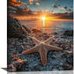 Beach Starfish Wall Decor Ocean Starfish Wall Art Sunset Scenery Coastal Theme Pictures Canvas Nature Seascape Painting Print Framed Artwork Decorations for Home Bathroom Living Room Bedroom Office 16"x20"