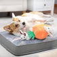 Amazon Basics Interactive Hide and Seek Squeaky Dog Plush Toy, Rabbit and Carrot, Orange and White, 5-Pack