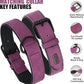 Didog Soft Padded Leather Dog Collar and Leash Set, Heavy Duty Dog Leash and Collar Set with Metal Buckle, Breathable Dog Collars with 4FT Leather Dog Leash for Small Medium Large Dogs, Purple, XL