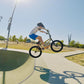 Freestyle BMX Bike, 20 Inch Yaphet Bicycle for Teen Beginner and Adult Riders, Bike with Hi-Ten Steel Frame, Multiple Colors