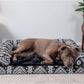 Furhaven Orthopedic Dog Bed for Large/Medium Dogs w/ Removable Bolsters & Washable Cover, For Dogs Up to 55 lbs - Plush & Southwest Kilim Woven Decor Sofa - Black Medallion, Large