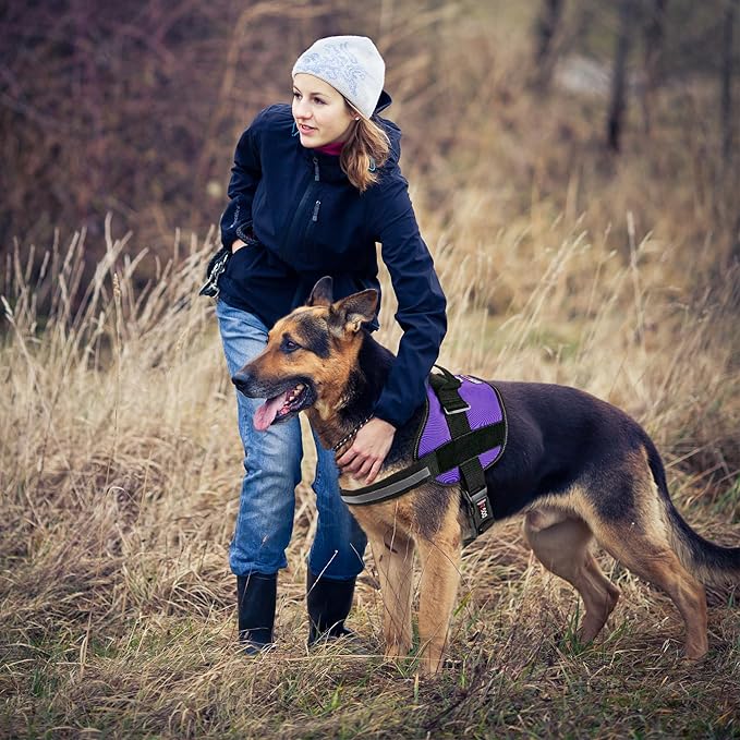 Dogline Dog Harness, Reflective No-Pull Adjustable Vest with Handle for Walking, Training, Breathable, No - Choke Harness for Small, Medium or Large Dogs Room for Patches Girth 27 to 34 in Purple