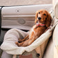Dog Travel Bag | Cat Carrier | Small Pet Taxi | Lightweight Soft-Sided Tote, Car-Seat Compatible, Washable, 6–20 lb | Vegan Materials | Brown