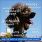 Native Pet Pack Leaders Bundle - Daily Dog Multivitamin (7 oz.) & Omega Oil for Dogs (8 oz.) - Omega 3 Fish Oil for Healthy Skin, Shiny Coat, & Strong Joints & Daily Multivitamin for Dogs