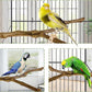 kathson Natural Parrot Perch Bird Stand Pole Wild Grape Stick Paw Grinding Fork Parakeet Climbing Standing Branches Toy Chewable Cage Accessories for Small Budgies Cockatiels Lovebirds 4PCS