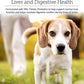 Rx Vitamins Onco Support - Dog & Cat Immune Support Supplement with Milk Thistle, Spirulina, Kelp Powder - Aids in Gut Health and Digestive Support - 300g