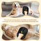 Pet Hair Removal Glove, 2025 New Reusable Electrostatic Glove for Cats & Dogs, Effective Pet Hair Remover for Furniture, Couch, Carpet, and Car Seats (3PCS)