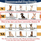 Hard & Heavy Plastic Dog Cone Collar Alternative for Medium Dogs (French Bulldog Dachshund) After Surgery, Adjustable Recovery Cone Anti-Lick, Elizabethan Protective Collar Cone of Shame for Healing