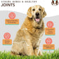 Natural Dog Company Healthy Joints, Skin and Coat Bundle for Dogs, Includes (1) Bottle Natural Dog Company Skin and Coat Oil, (1) Bottle Liquid Glucosamine, Food Topper, Dog's Fish Oil Supplement