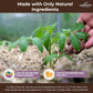 Premium Organic Wood Mulch for Gardens, Landscaping, Potted Plants, and Vegetable Gardens (0.3 CF - 8 L - 9 QTS)
