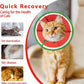 Soft Adjustable Cat Cone Collar - Comfortable Recovery Collar for Cats After Surgery (Watermelon, Medium)
