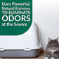 Simple Green Cat Stain & Odor Remover - Enzyme Cleaner for Cat Urine, Feces, Blood, Vomit (32 oz Sprayer & 1 gallon Refill)