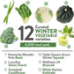 HOME GROWN 12 Winter Vegetable Seeds 𝗡𝗢𝗡-𝗚𝗠𝗢 Heirloom,Fall & Winter Vegetable Seeds for Planting Home Garden: Bean, Beet, Broccoli, Cabbage, Carrot, Cauliflower, Kale,Parsnip,Squash,Chard & More