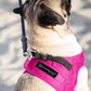 Comfort Fit Dog Harness No Pull No Escape Harness Adjustable Buckles Soft Padded Reflective Choke Step in Dog Vest with Easy Control Handle for Small Medium Large Dogs & Puppies