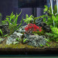 BESTOYARD Fish Tank Decor Artificial Plastic Bonsai Tree, Red Aquarium Ornament for Fish Tanks, 11.81 X 9.05 X 3.93 Inches