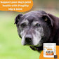 Nootie Progility Mini Hip & Joint Small & Medium Breed Chew Supplement for Dogs, 60 Count