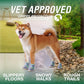 Dog Shoes for Large Dogs, Anti-Slip Dog Boots for Winter Snow, Hot Pavement, Dog Booties & Paw Protectors Blue Size 6