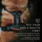 MADE TO ROAM Premium Explorer Harness - Y-Shaped Dog Harness with Adjustable Durable Nylon, Soft Padding, Metal Buckles and Leather Handle for Small, Medium, Large Dogs (California Horizon, Size 2)